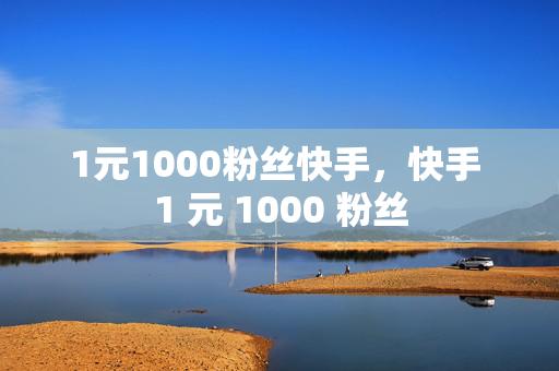 1元1000粉丝快手，快手 1 元 1000 粉丝