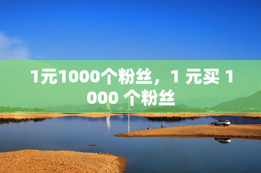 1元1000个粉丝，1 元买 1000 个粉丝