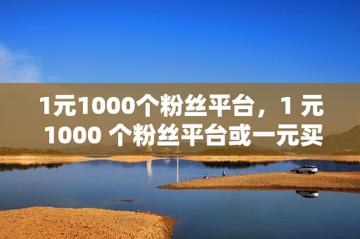 1元1000个粉丝平台，1 元 1000 个粉丝平台或一元买千粉平台