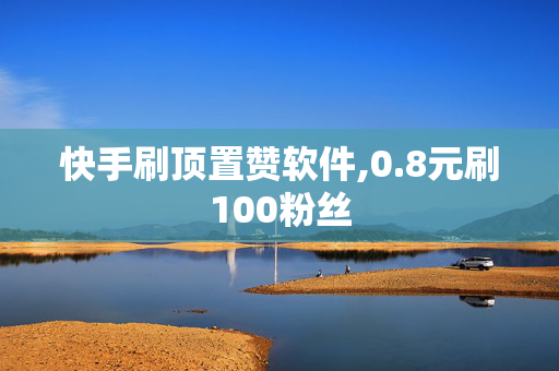 快手刷顶置赞软件,0.8元刷100粉丝