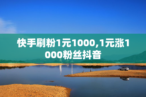 快手刷粉1元1000,1元涨1000粉丝抖音