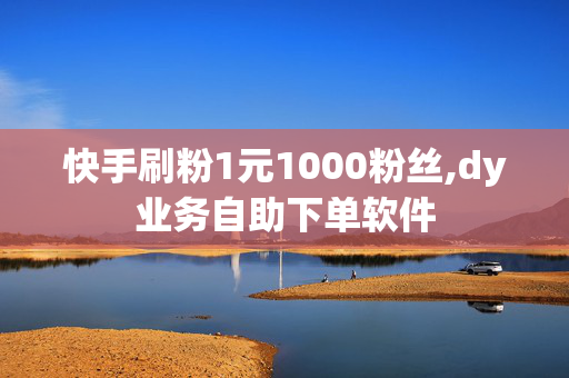 快手刷粉1元1000粉丝,dy业务自助下单软件