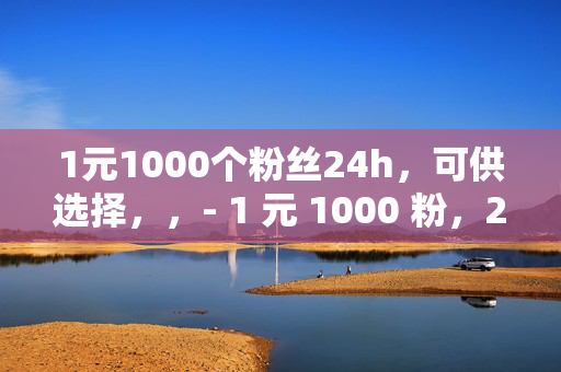 1元1000个粉丝24h，可供选择，，- 1 元 1000 粉，24h 轻松搞定