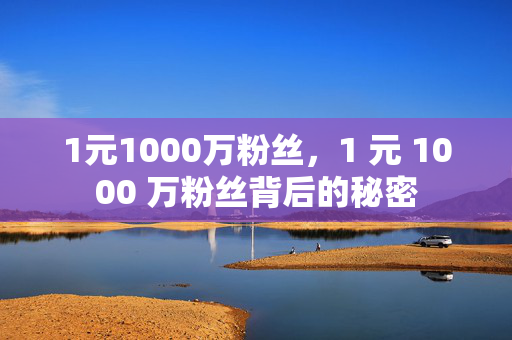 1元1000万粉丝，1 元 1000 万粉丝背后的秘密