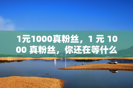 1元1000真粉丝，1 元 1000 真粉丝，你还在等什么？