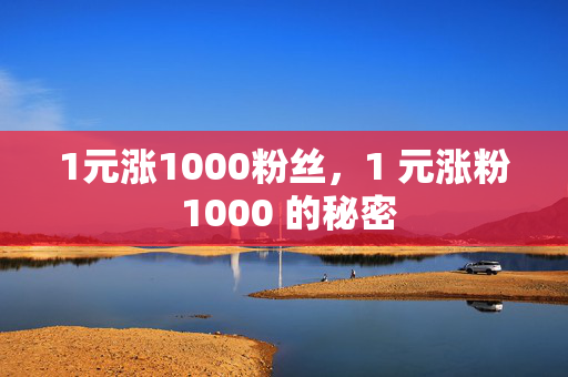 1元涨1000粉丝，1 元涨粉 1000 的秘密