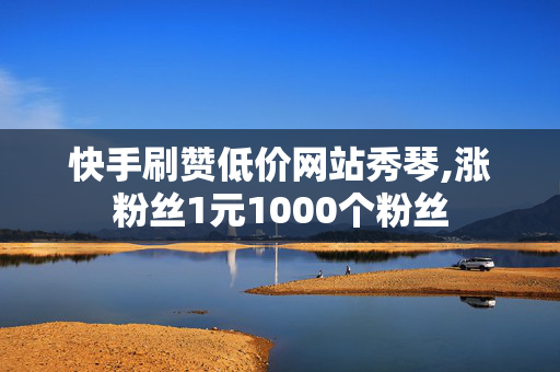 快手刷赞低价网站秀琴,涨粉丝1元1000个粉丝