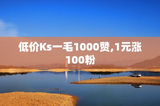 低价Ks一毛1000赞,1元涨100粉