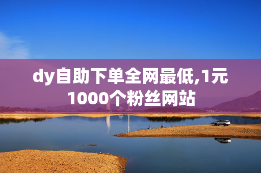 dy自助下单全网最低,1元1000个粉丝网站