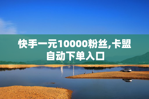 快手一元10000粉丝,卡盟自动下单入口