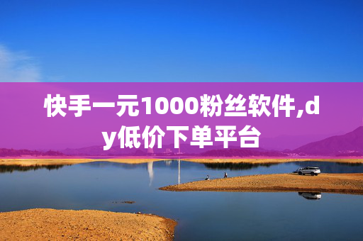 快手一元1000粉丝软件,dy低价下单平台