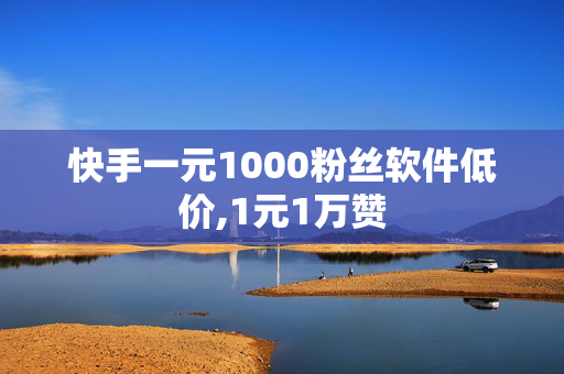 快手一元1000粉丝软件低价,1元1万赞