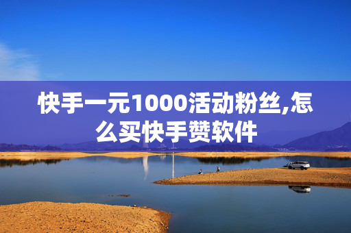 快手一元1000活动粉丝,怎么买快手赞软件