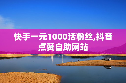 快手一元1000活粉丝,抖音点赞自助网站