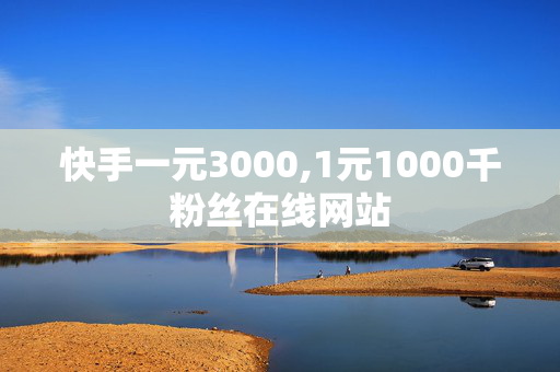 快手一元3000,1元1000千粉丝在线网站