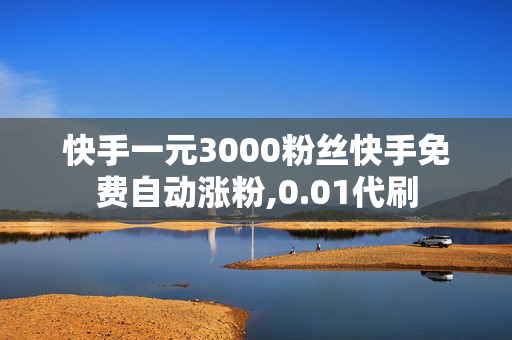 快手一元3000粉丝快手免费自动涨粉,0.01代刷