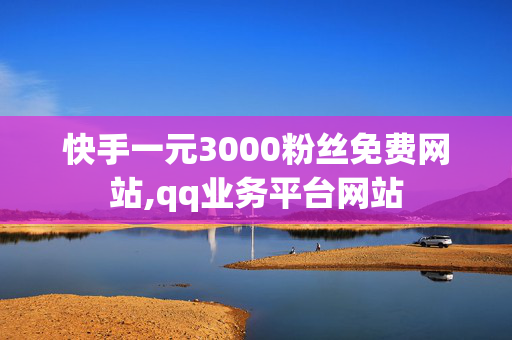 快手一元3000粉丝免费网站,qq业务平台网站