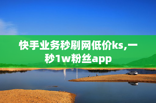 快手业务秒刷网低价ks,一秒1w粉丝app