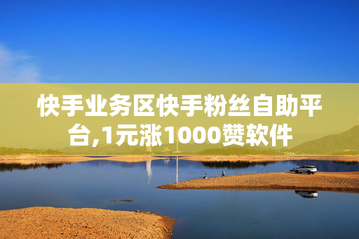 快手业务区快手粉丝自助平台,1元涨1000赞软件