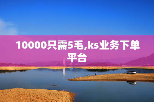 10000只需5毛,ks业务下单平台