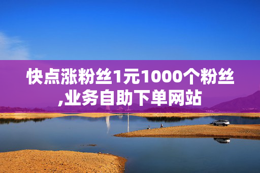 快点涨粉丝1元1000个粉丝,业务自助下单网站