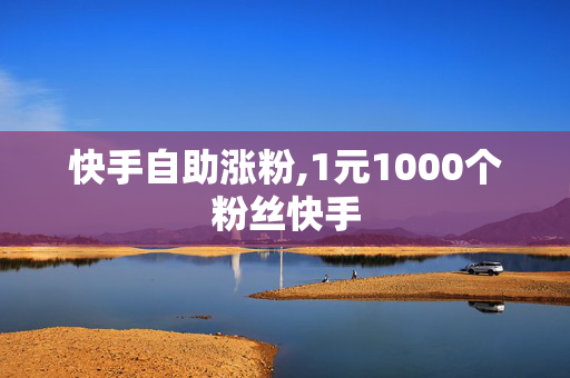 快手自助涨粉,1元1000个粉丝快手