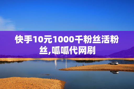 快手10元1000千粉丝活粉丝,呱呱代网刷