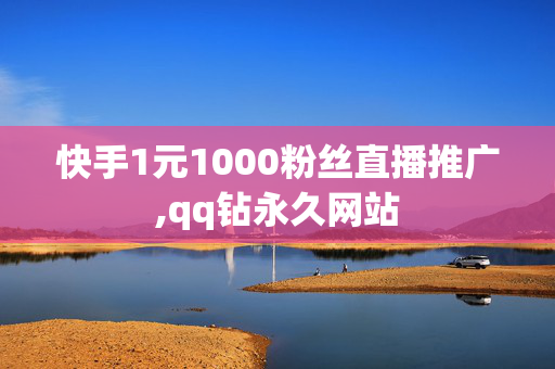 快手1元1000粉丝直播推广,qq钻永久网站