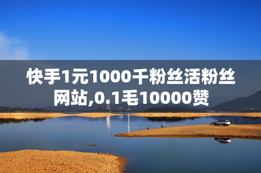 快手1元1000千粉丝活粉丝网站,0.1毛10000赞