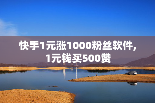 快手1元涨1000粉丝软件,1元钱买500赞