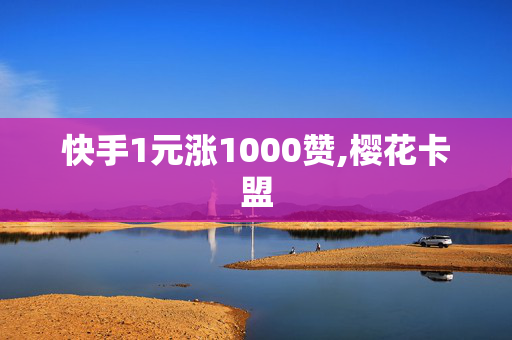 快手1元涨1000赞,樱花卡盟