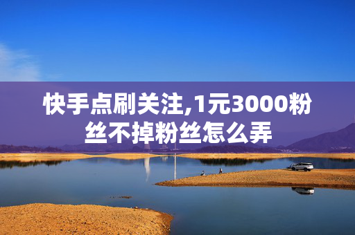 快手点刷关注,1元3000粉丝不掉粉丝怎么弄