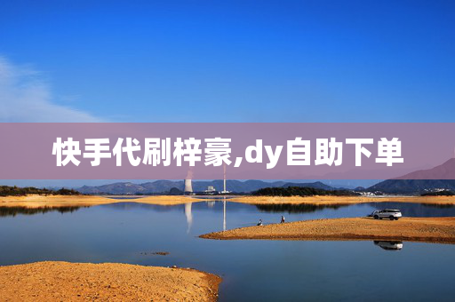 快手代刷梓豪,dy自助下单