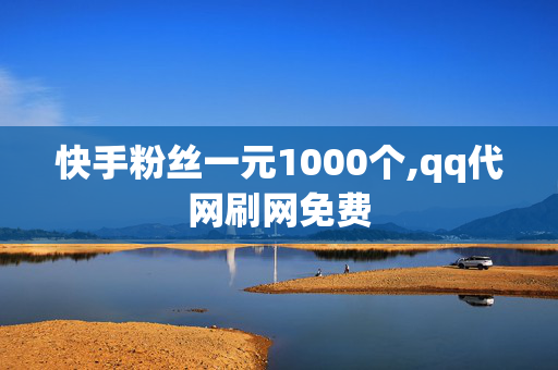 快手粉丝一元1000个,qq代网刷网免费