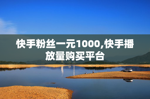 快手粉丝一元1000,快手播放量购买平台