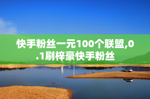 快手粉丝一元100个联盟,0.1刷梓豪快手粉丝