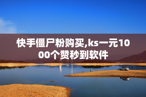 快手僵尸粉购买,ks一元1000个赞秒到软件