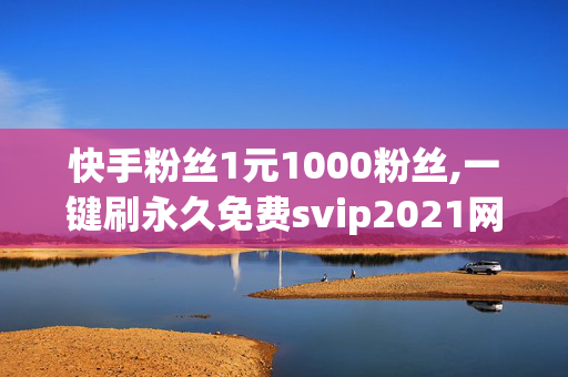 快手粉丝1元1000粉丝,一键刷永久免费svip2021网站