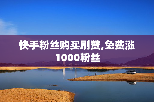 快手粉丝购买刷赞,免费涨1000粉丝