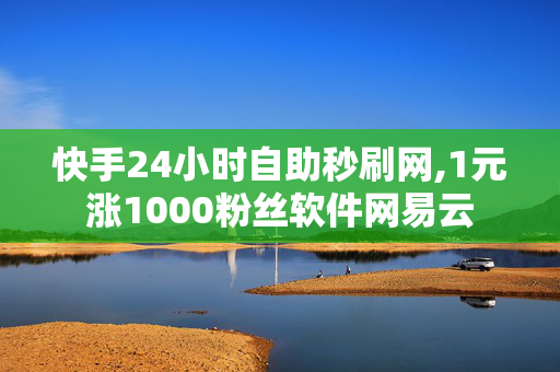 快手24小时自助秒刷网,1元涨1000粉丝软件网易云