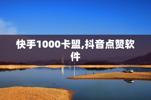 快手1000卡盟,抖音点赞软件