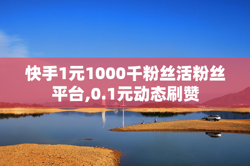 快手1元1000千粉丝活粉丝平台,0.1元动态刷赞