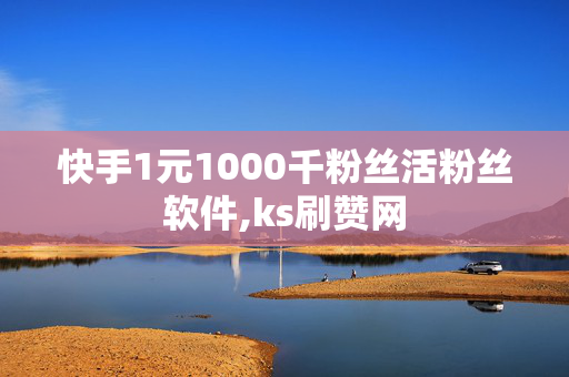 快手1元1000千粉丝活粉丝软件,ks刷赞网