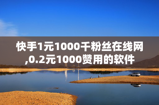 快手1元1000千粉丝在线网,0.2元1000赞用的软件