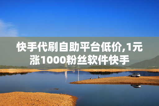 快手代刷自助平台低价,1元涨1000粉丝软件快手