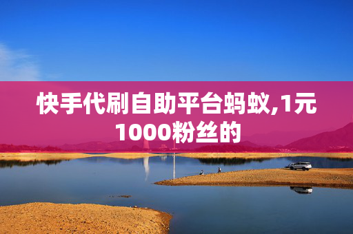 快手代刷自助平台蚂蚁,1元1000粉丝的