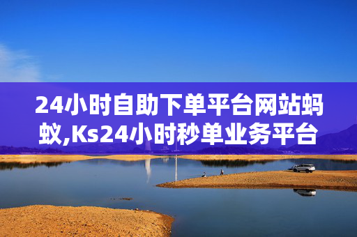 24小时自助下单平台网站蚂蚁,Ks24小时秒单业务平台