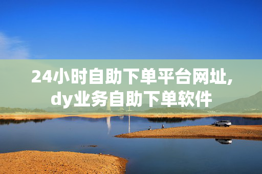 24小时自助下单平台网址,dy业务自助下单软件