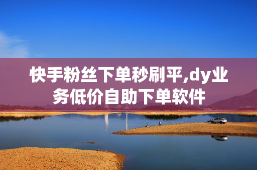 快手粉丝下单秒刷平,dy业务低价自助下单软件