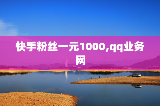 快手粉丝一元1000,qq业务网